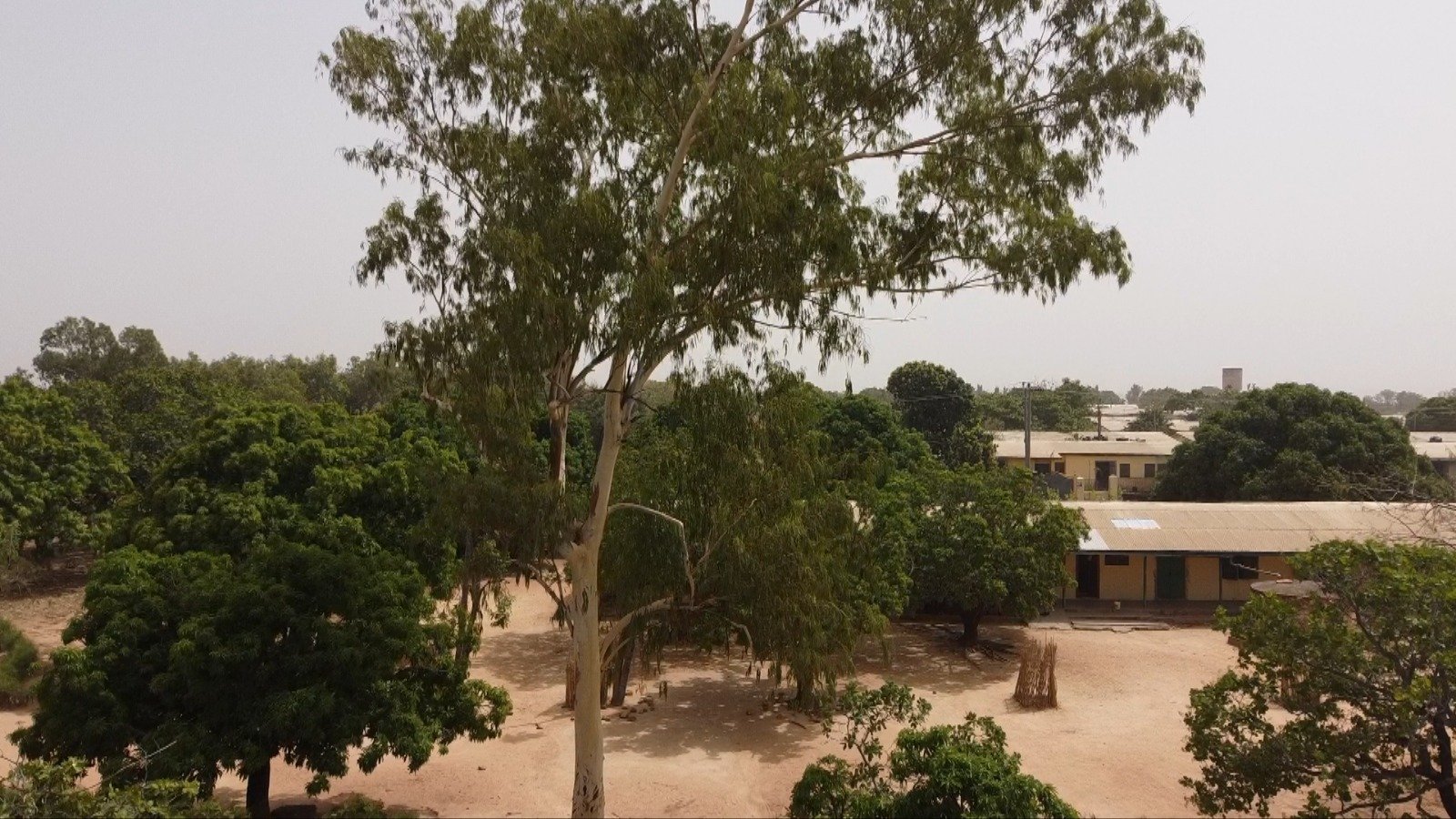 From windstorm to resilience: How Wa school is growing climate protection