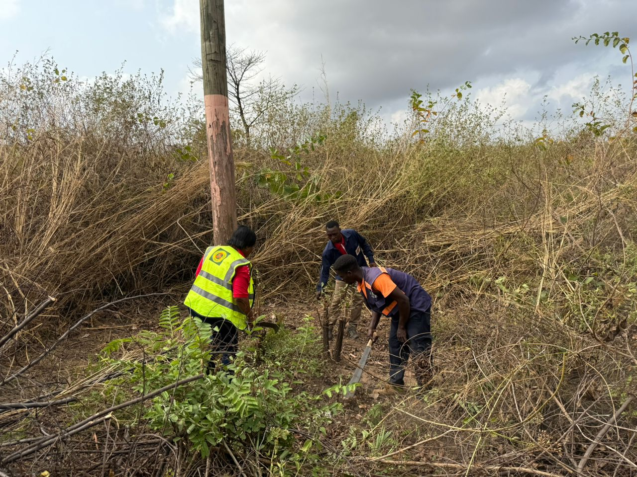 ECG intensifies bushfire prevention campaign in Volta and Oti Regions