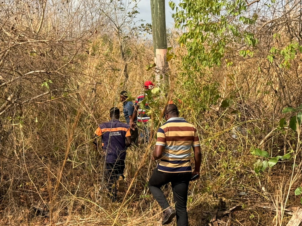 ECG intensifies bushfire prevention campaign in Volta and Oti Regions