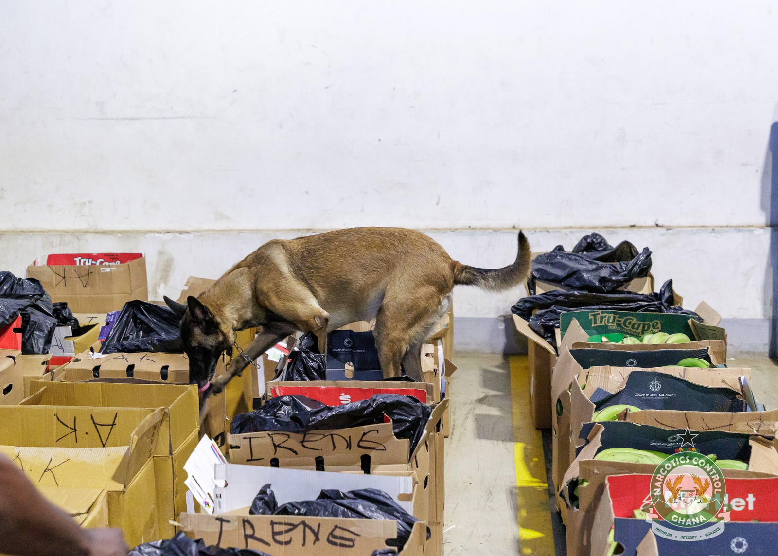 NACOC steps up K9 Operations at Kotoka International Airport to curb drug trafficking NACOC steps up K9 Operations at Kotoka International Airport to curb drug trafficking
