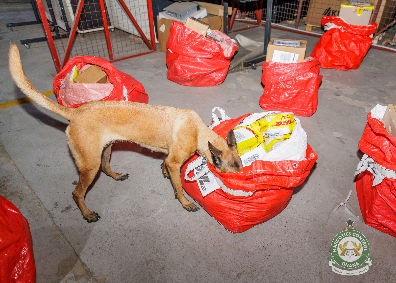 NACOC steps up K9 Operations at Kotoka International Airport to curb drug trafficking NACOC steps up K9 Operations at Kotoka International Airport to curb drug trafficking