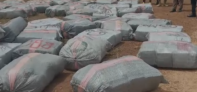 Oti Region police bust suspected drug truck, seize over 7,000 marijuana parcels Oti Region police bust suspected drug truck, seize over 7,000 marijuana parcels