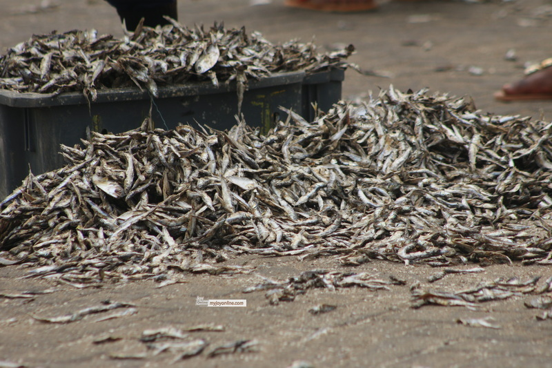 Human excreta, car fumes on fish: AMA cracks down at Jamestown (Photos)