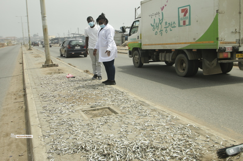 Human excreta, car fumes on fish: AMA cracks down at Jamestown (Photos)
