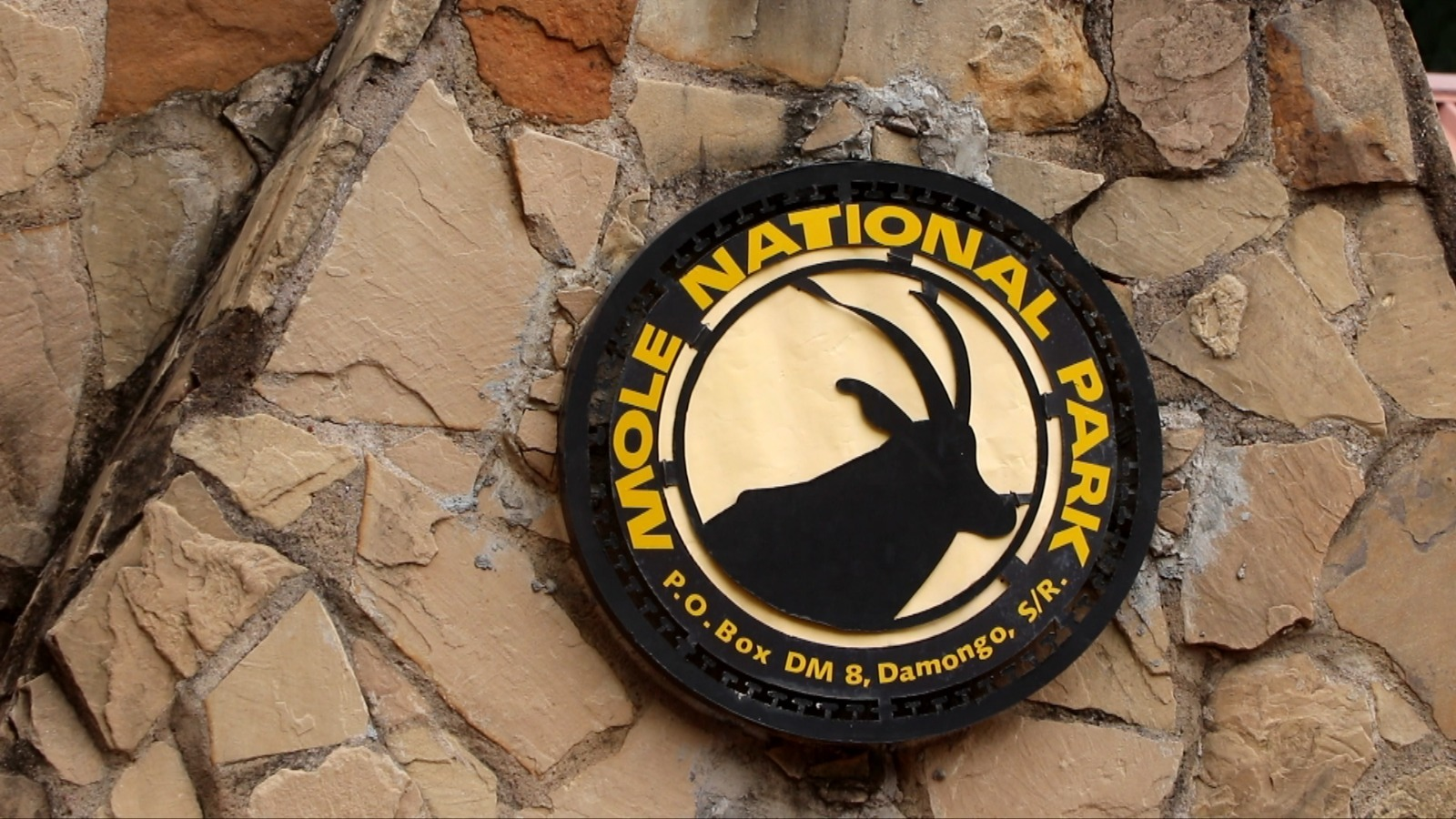 Mole National Park’s role in climate resilience under threat from human activities