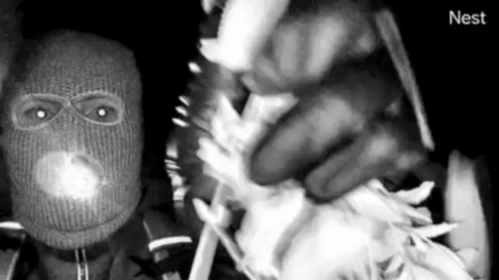 Police release man detained in connection to Nancy Guthrie disappearance Police release man detained in connection to Nancy Guthrie disappearance