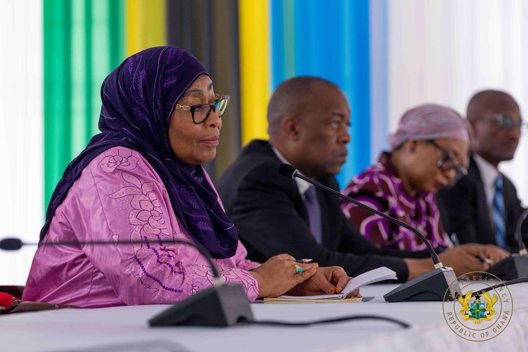 Photos: President Mahama meets Tanzania President Suluhu Hassan