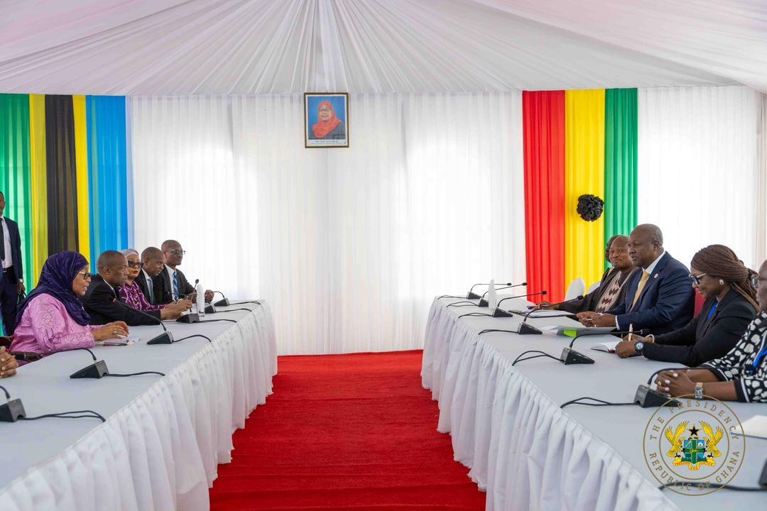 Photos: President Mahama meets Tanzania President Suluhu Hassan