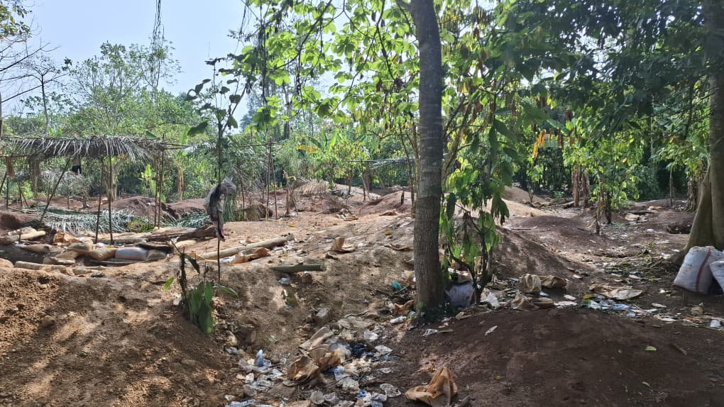 10 illegal miners feared dead, 30 critical after mine cave-in at Manso Tontokrom 10 illegal miners feared dead, 30 critical after mine cave-in at Manso Tontokrom