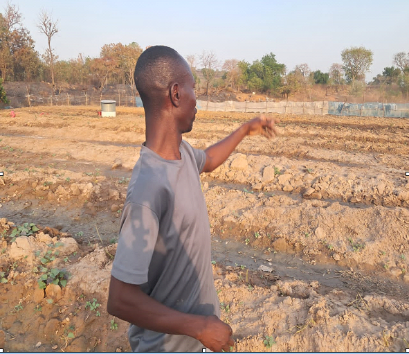 Seeds of Resilience: Home gardening turning survival into success