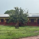 Education Classroom Bat