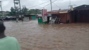 floods 1