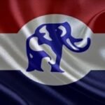 NPP Flag