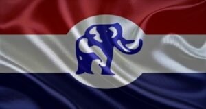 NPP Flag