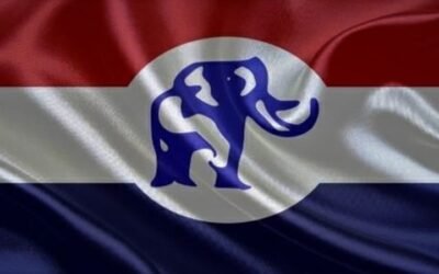 NPP Flag