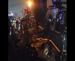 1786613955 ACCI