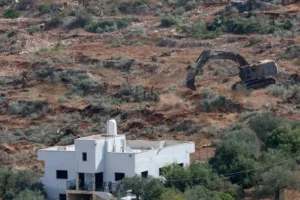 2026 09 23T080030Z 1529122039 RC2VONAGXX8I RTRMADP 3 ISRAEL PALESTINIANS WEST BANK OLIVE TREES 17902