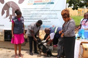 VSD rolls out mass rabies Dr Allegye Cudjoe demonstrating a vaccination of a dog at the launch