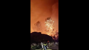 WIDE THUMB CROATIA WILDFIRE 1789273297