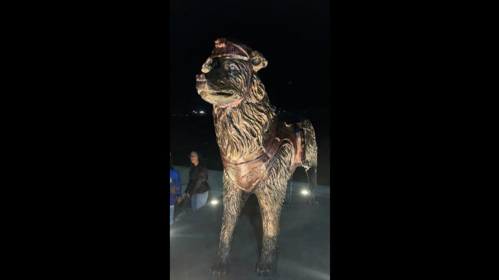 WIDE THUMB VENEZUELA HERO DOG 1789915378