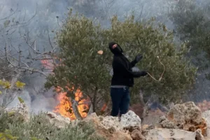 2026 10 16T075903Z 490381858 RC264OAWKT14 RTRMADP 3 ISRAEL PALESTINIANS SETTLERS ATTACK 1792236497.j