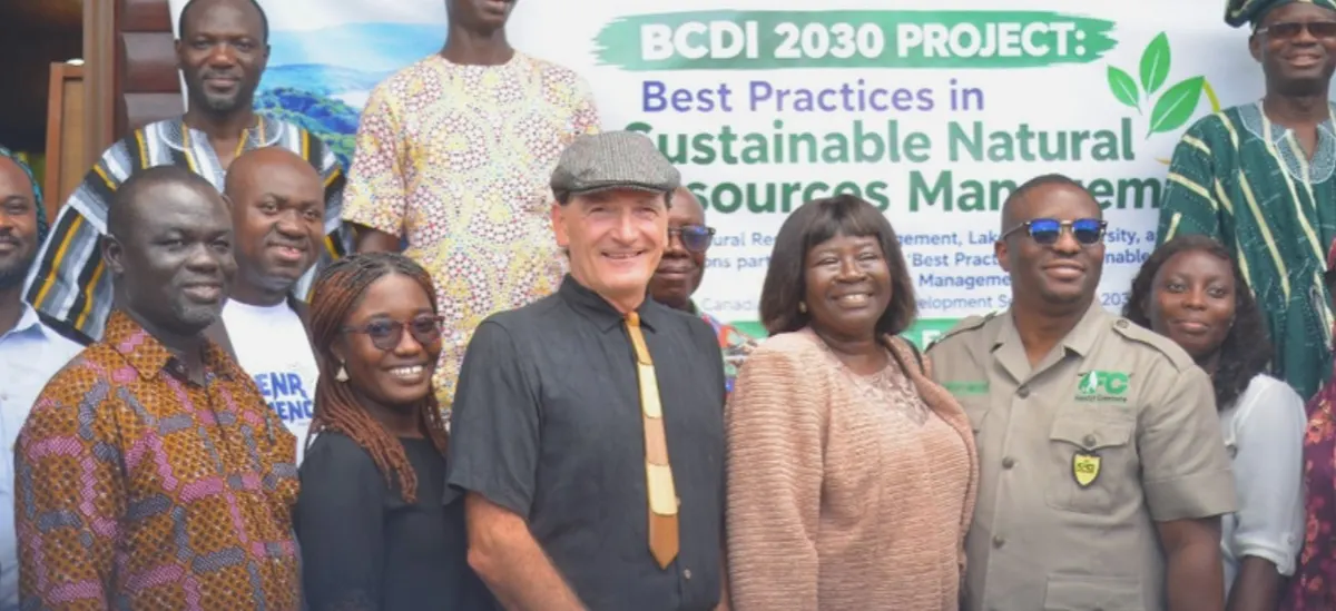 BCDI20project