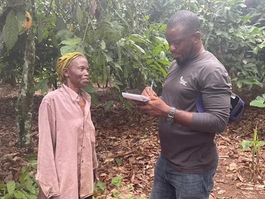 Cocoa farmers battle declining yields Ms Rebecca Owusuaa speaking to the Ghanaian Times reporter at