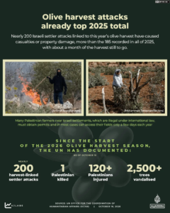 INTERACTIVE Olive harvest Israeli settler attacks occupied West Bank 2026 Palestine 1792312655