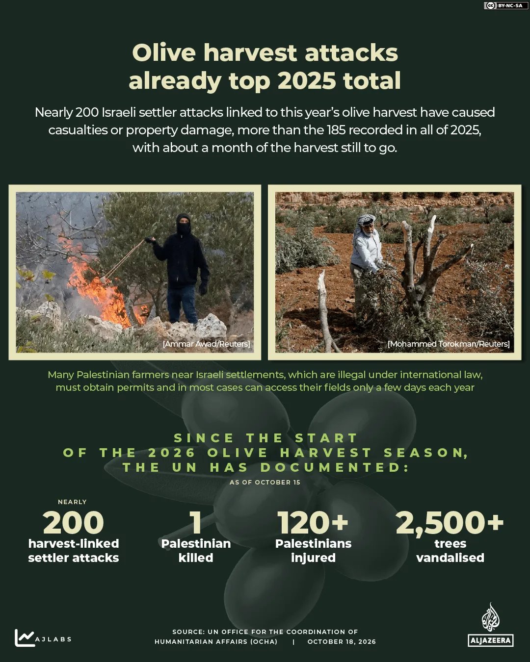 INTERACTIVE Olive harvest Israeli settler attacks occupied West Bank 2026 Palestine 1792312655