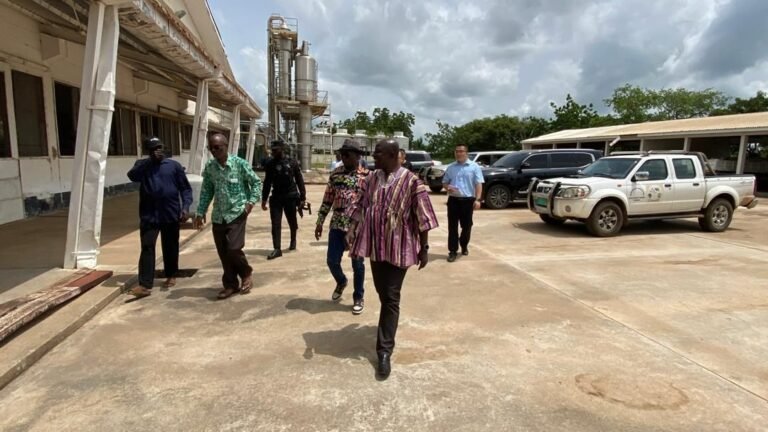 Pwalugu20factory201