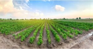 agribusiness how it works 2022 01 21 293369 1200x630