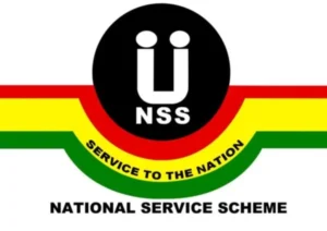 nss 600x424