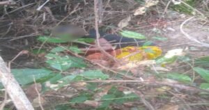 safeimagekit Bogoso20pregnant20woman20death 1200x630