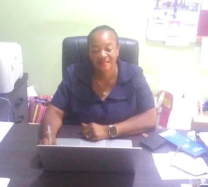 ‘Free healthcare draws Biakoye residents Ms Rita Ama Narlyn Wurapa Biakoye District Director of Heal